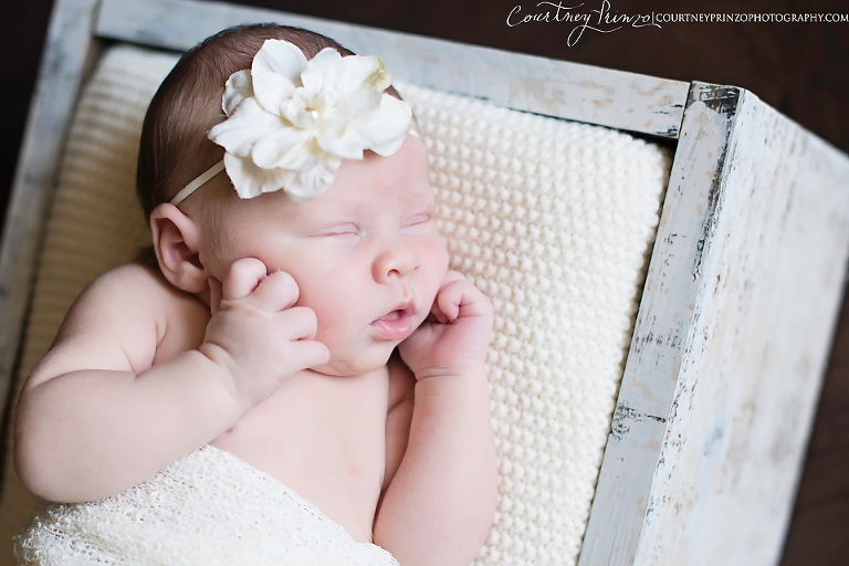 austin-newborn-photographer-family-maternity