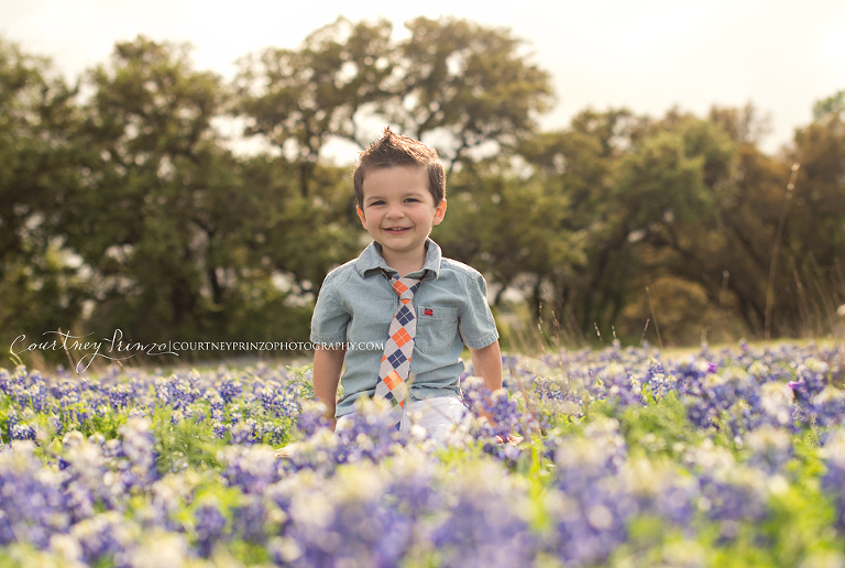 austin family bluebonnet photographer