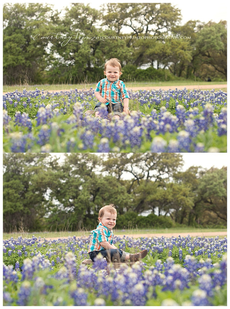 austin bluebonnet photos