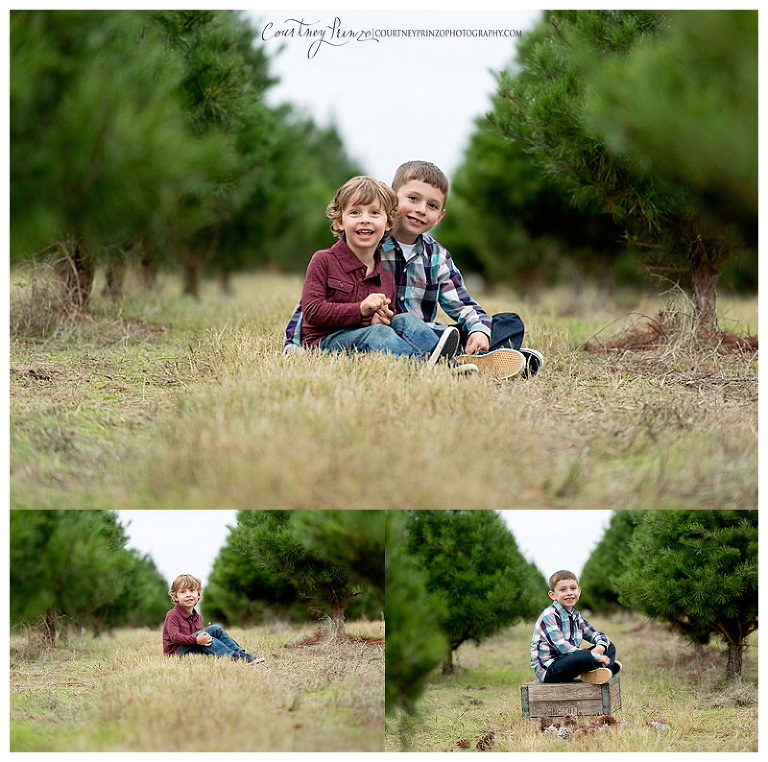 austin christmas photos