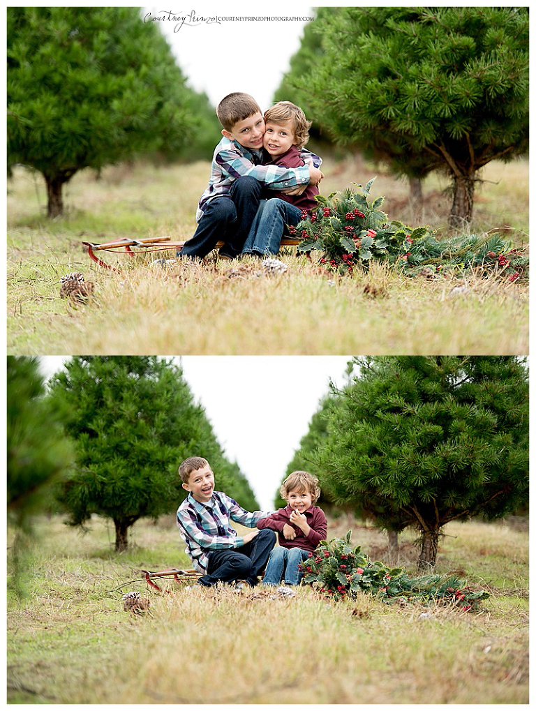 austin christmas photos