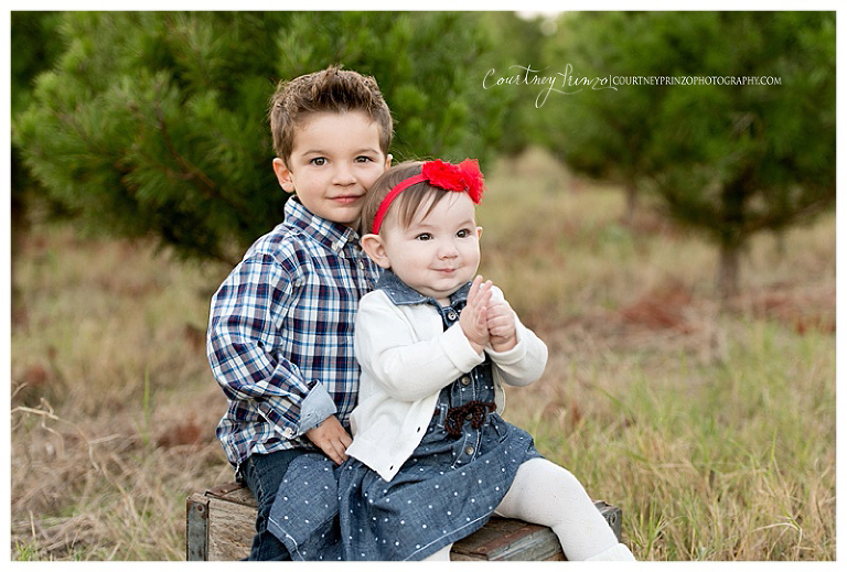 austin-family-christmas-photos-tree-farm-kids-baby