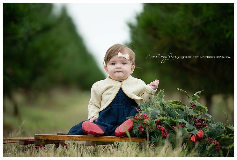 austin family fall portrait photographer