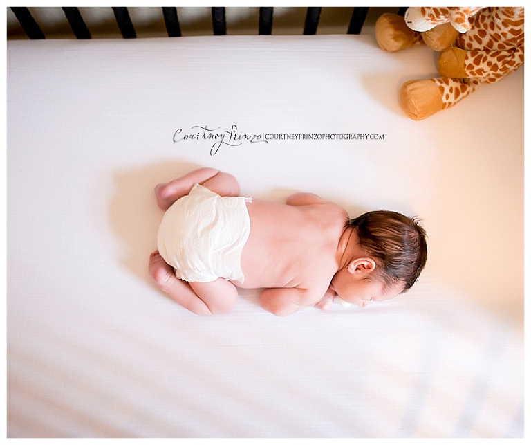austin lifestyle newborn photographer