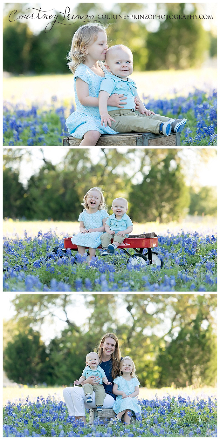 family bluebonnet austin photographer