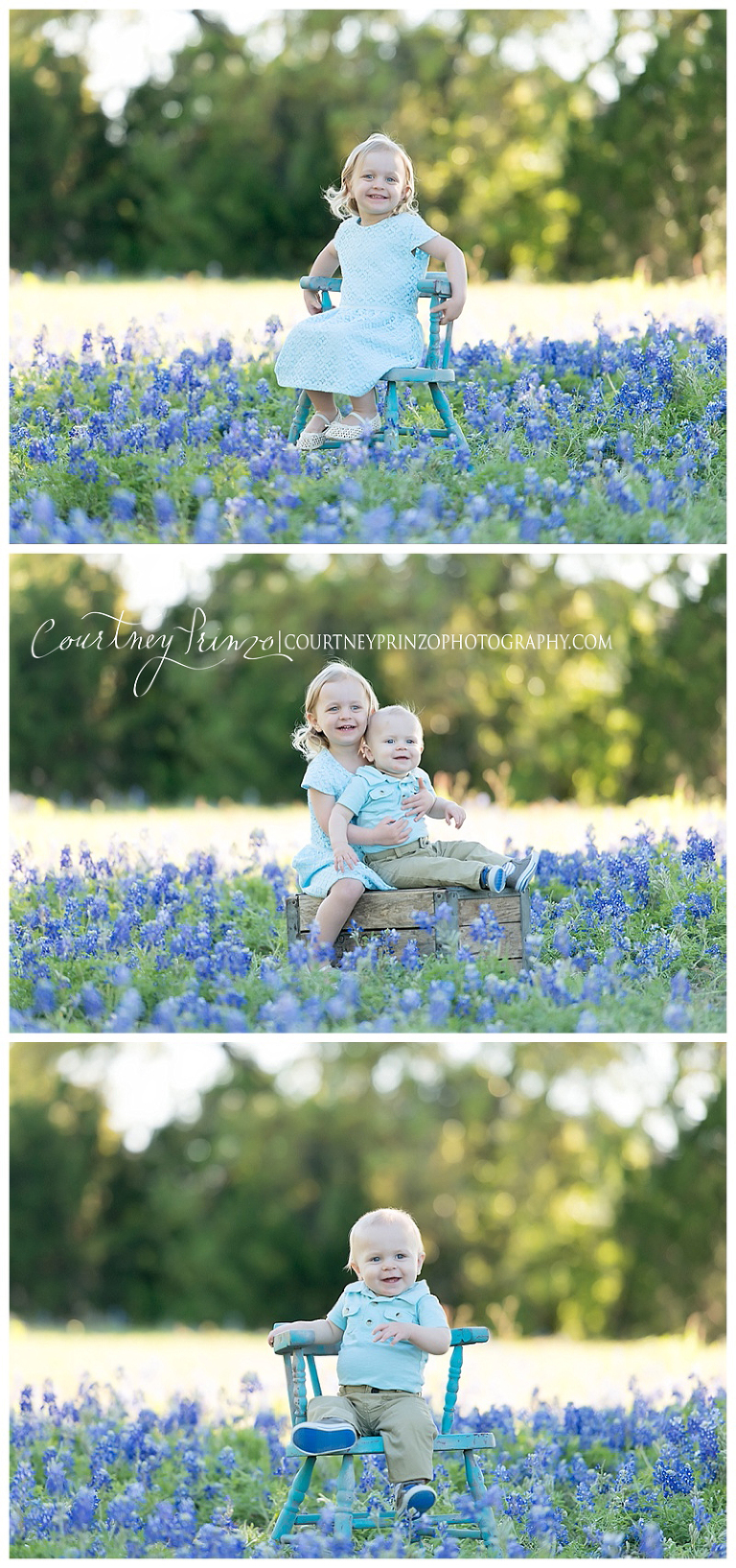 family bluebonnet austin photographer