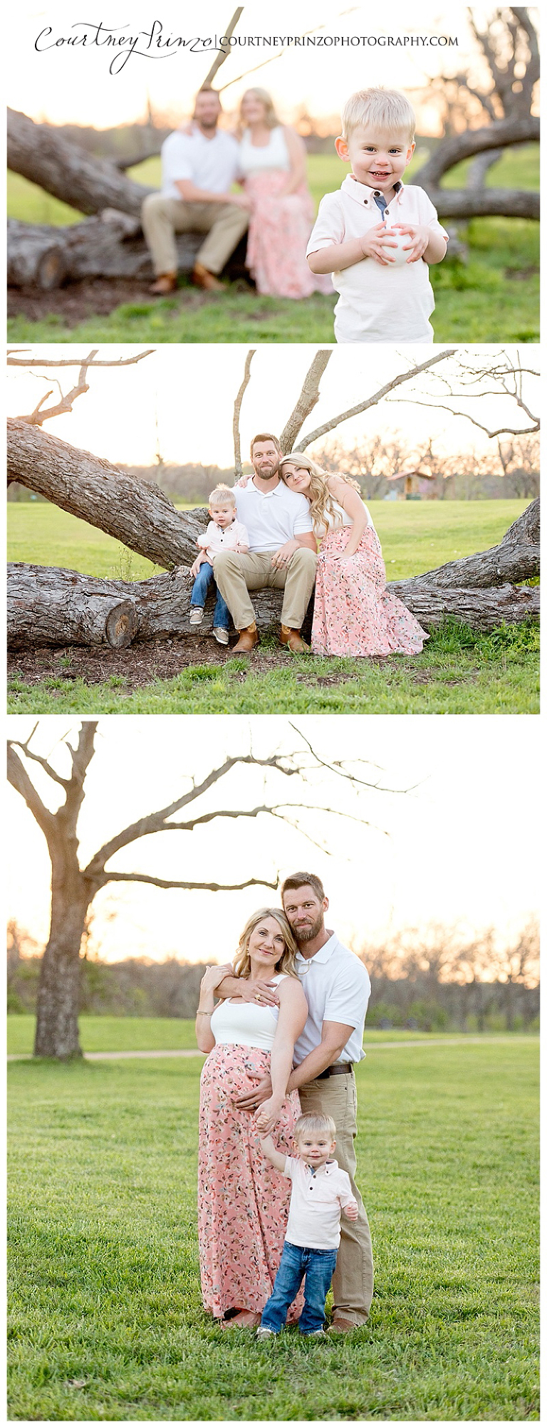 georgetown maternity photographer