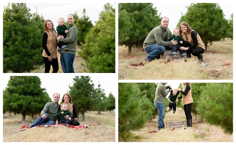 austin christmas mini photographer