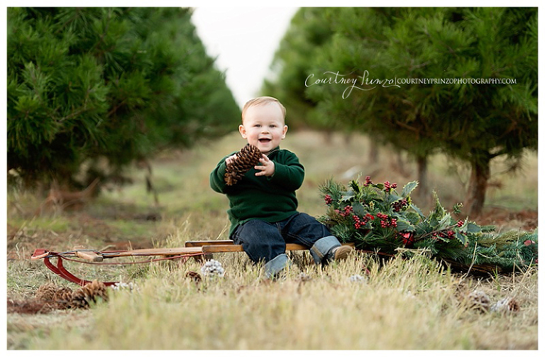 austin family christmas photos