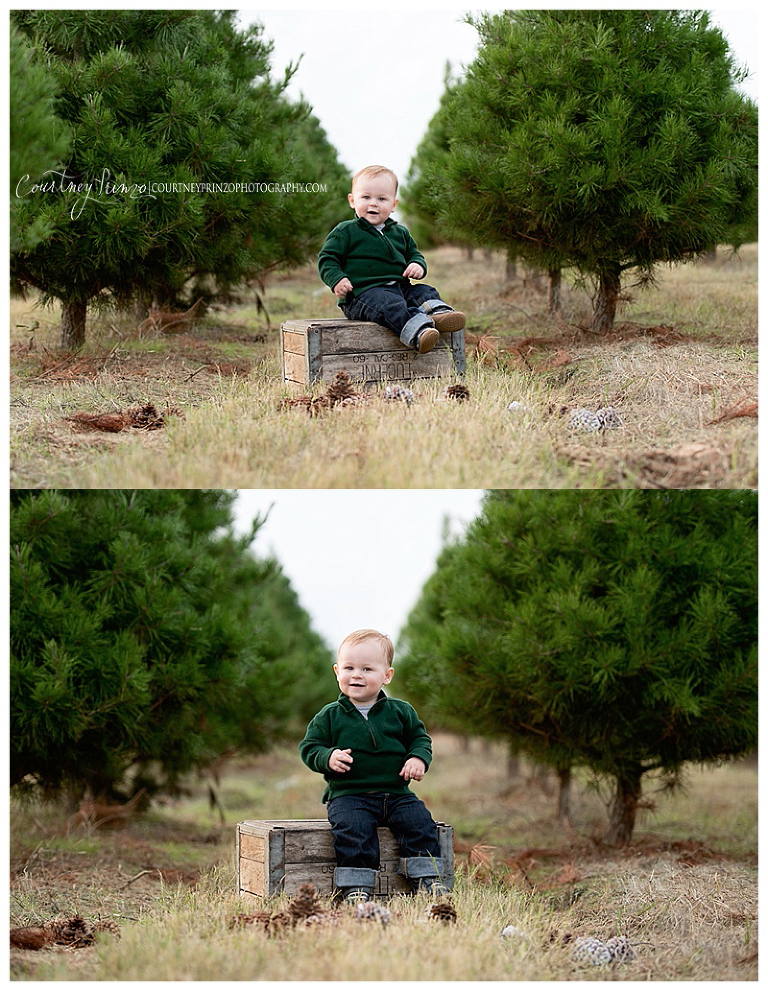 austin family christmas photos